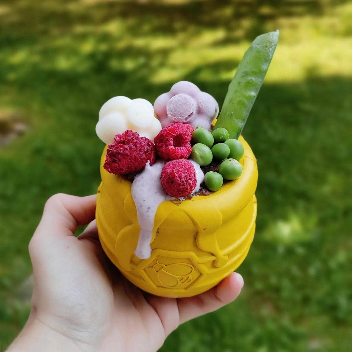 PUP-X Honey Pot Treat Dispenser (Large & X-Large)