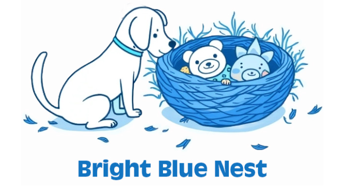 The story behind Bright Blue Nest.