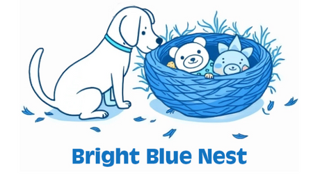The story behind Bright Blue Nest.