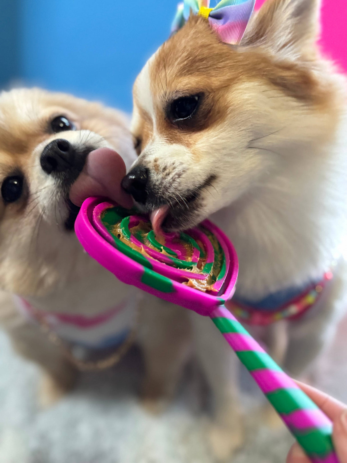 Lick Pops - Lick Pad Spatulas!