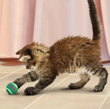 KONG® Cat Active Tennis Balls w/Bells Cat Toy