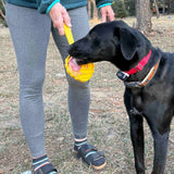 Lick Stick Hand-Held Interactive Enrichment Toys