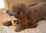 ThoozyPet 2-Knot Rope Dog Toy Yellow / Pink 8.5"