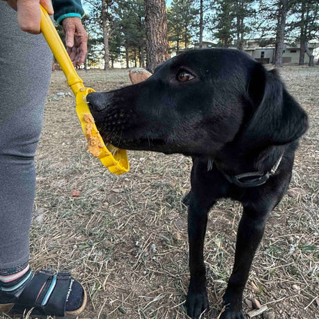 Lick Stick Hand-Held Interactive Enrichment Toys