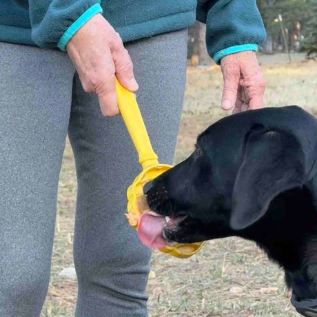 Lick Stick Hand-Held Interactive Enrichment Toys