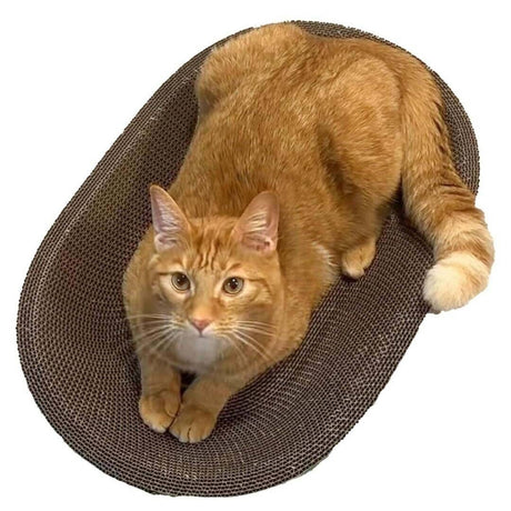 Oval Cat Scratcher Pad