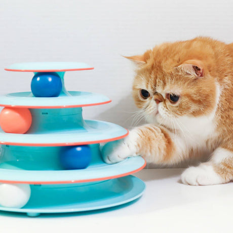Catstages Chase Meowtain Cat Track Toy Blue