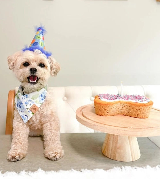 Puppy Cake Dog Birthday Cake Kit (Peanut Butter or Pumpkin)