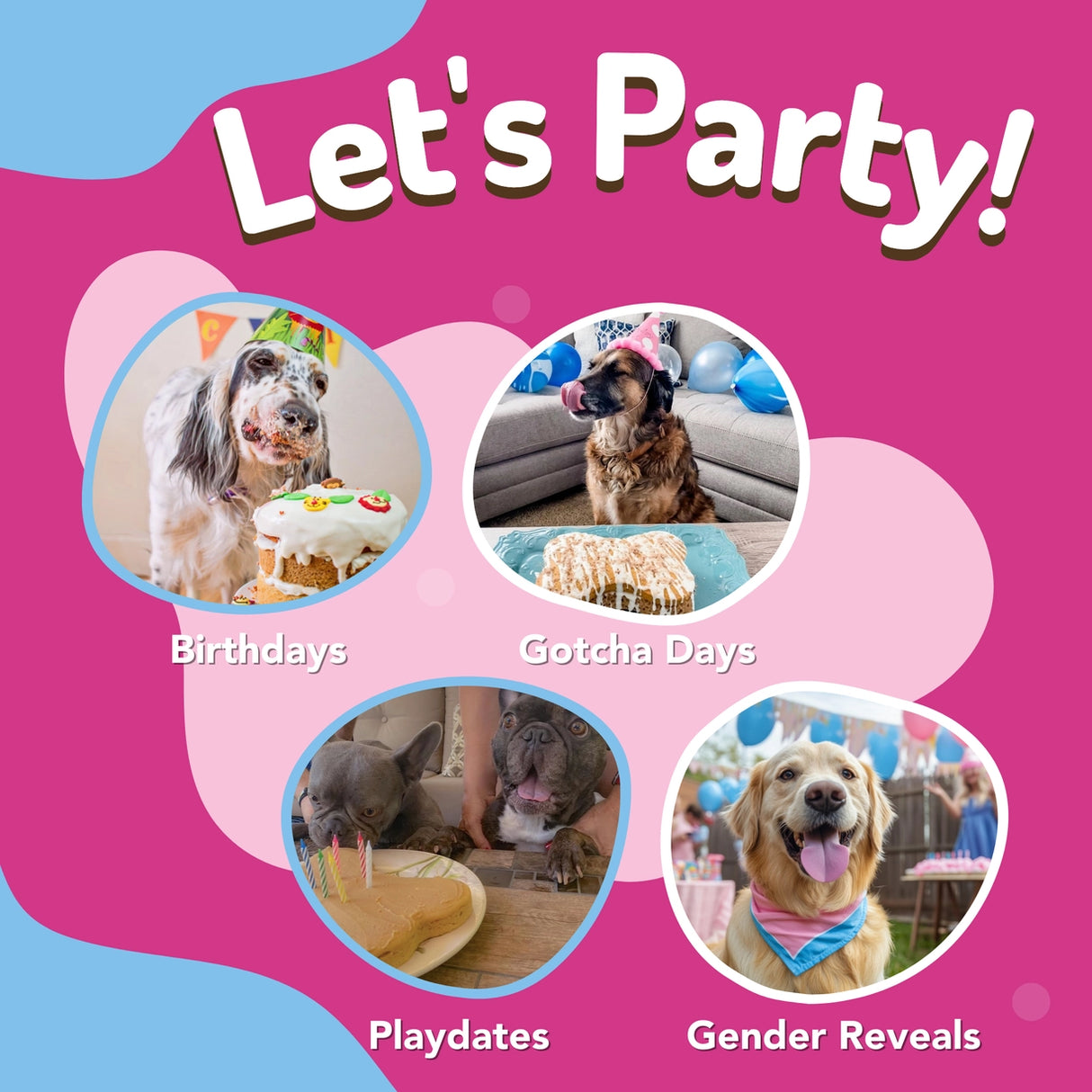 Puppy Cake Dog Birthday Cake Kit (Peanut Butter or Pumpkin)