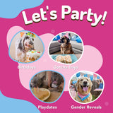 Puppy Cake Dog Birthday Cake Kit (Peanut Butter or Pumpkin)