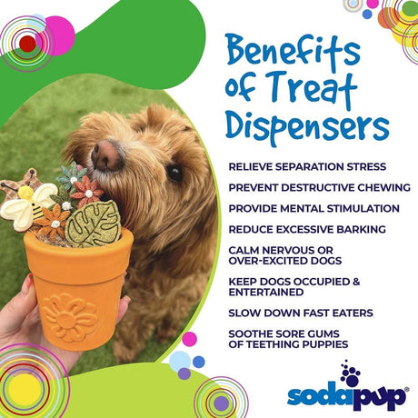 SodaPup Treat Dispenser Benefits