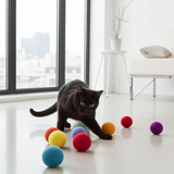 Eco-Friendly Wool Felt Ball Cat Toys -Set of 2