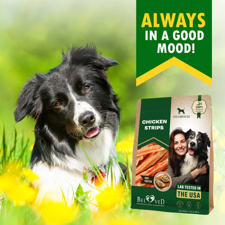 Beloved Pets Chicken Jerky Strips Dog Treats 11oz