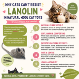 Eco-Friendly Wool Felt Ball Cat Toys -Set of 2