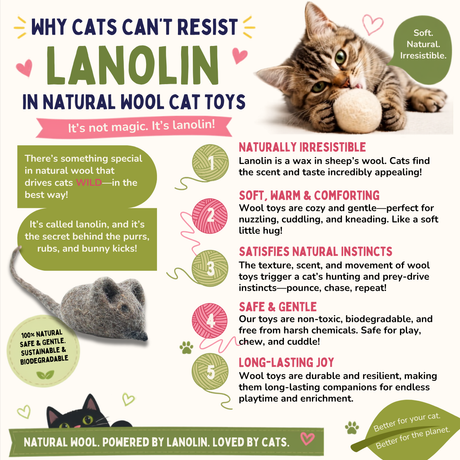 Eco-Friendly Wool Felt Ball Cat Toys -Set of 2